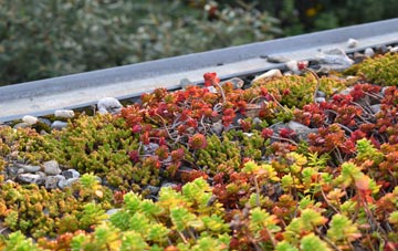 the cost of Scruton green roof installation