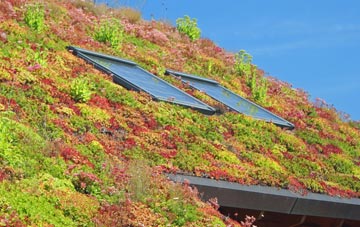 Scruton living roof systems